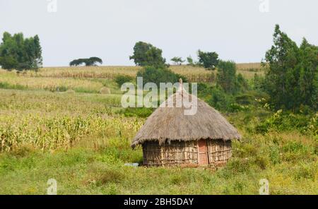 Eine traditionelle Hütte im ländlichen Äthiopien. Stockfoto