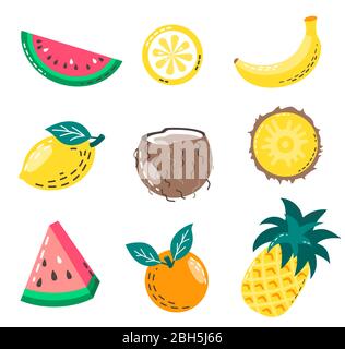 Set von isolierten Sommerfrüchten. Vektorgrafik von saftigen Früchten: Wassermelone, Banane, Ananas, Kokosnuss, Orange und Zitrone. Stock Vektor