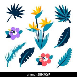 Vector Set Sammlung von tropischen Blättern und Blumen. Tropische Kollektion für Strand, Sommerurlaub, hawaiiianische Party-Design. Vektor isolierte Elemente ein Stock Vektor