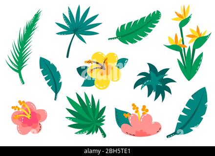 Set von tropischen Pflanzen. Vector Tropical Kollektion für Strand, Sommerurlaub, hawaiiianisches Party Design. Stock Vektor