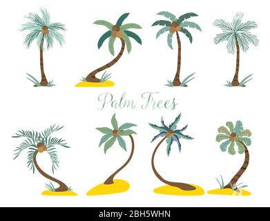 Verschiedene Arten von Palmen am Strand. Vektorgrafik isoliert auf weiß. Stock Vektor