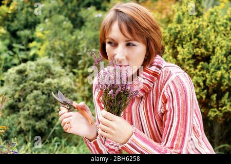 Attraktive Frau Schneiden Lavendel Pflanze Stockfoto