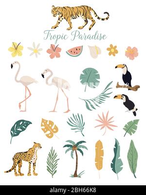Tropic Paradise Tiere Blumen und Pflanzen. Vektor-Set von tropischen Blättern. Palme, Monstera, Bananenblatt, Hibiskus, Plumeria Blüten. Stock Vektor