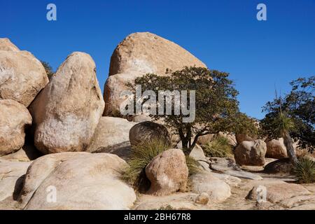 Riesige Granitfelsen im Texas Canyon in Cochise County Arizona Stockfoto