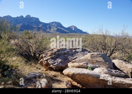 Santa Catalina Berge im Catalina State Park in der Nähe von Tucson in Arizona USA Stockfoto