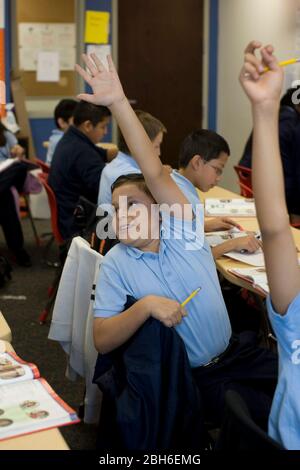 Dallas, Texas, 23. Januar 2009: Studenten der spanischen Klasse heben ihre Hände an der Peak Preparatory Academy im Osten von Dallas. Die Schule ist eine öffentlich-rechtliche Schule, die in ihrer fünfjährigen Geschichte ein bemerkenswertes Wachstum bei den Schülerleistungen verzeichnet hat. ©Bob Daemmrich Stockfoto