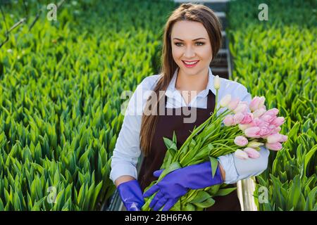 Frau Gärtner Floristin mit einem Blumenstrauß, in einem Gewächshaus, wo die Tulpen kultivieren Stockfoto