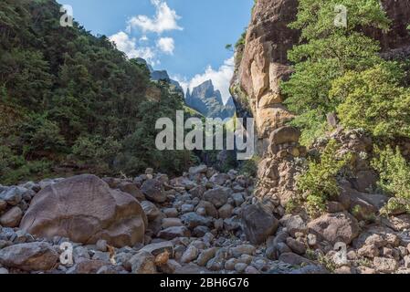 Blick von der Tugela-Schlucht in Richtung Devils Tooth und Zahnstocher im Amphitheater Stockfoto