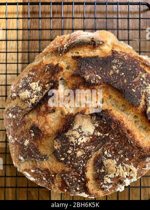 Ein selbstgebackenes Brot ohne Brot kneten auf EINEM Kühlregal Stockfoto