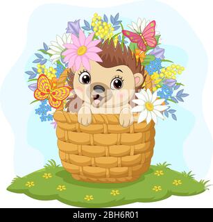Cartoon Baby Igel in den Korb Stock Vektor