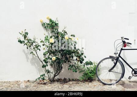 Fassade des traditionellen Hauses auf der Insel Re mit bunten Blumen und Fahrrad vor weißen Kalkwand geparkt dekoriert. Stockfoto