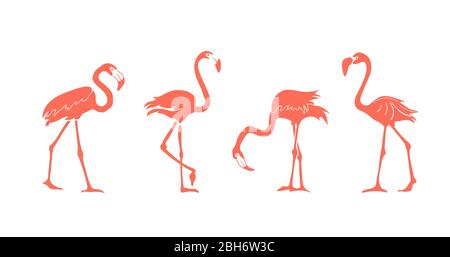 Cartoon rosa Flamingo Silhouette Vektor-Set. Niedliche Flamingos Kollektion. Flamingo Charakter Tier exotische Natur wilde Fauna. Stock Vektor