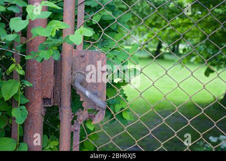 Rostige Tür in einem Garten Stockfoto