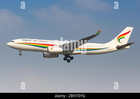 Shanghai, China – 28. September 2019: Tibet Airlines Airbus A330-200 Flugzeug am Shanghai Hongqiao Flughafen (SHA) in China. Stockfoto