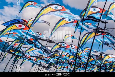 Bunte und helle Vogelfahne Drachen auf Stangen mit blauem Himmel und Wolken im Hintergrund beim Southsea Kite Festival, Portsmouth, UK Stockfoto