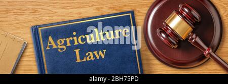 Ein Schwelgerl mit einem Gesetzbuch - Agrargesetz Stockfoto