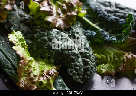 Frischer grüner, lockiger Grünkohl mit Wassertropfen auf den Blättern auf schwarzem Hintergrund. Vegane und vegetarische Ernährung. Bio-Gemüse antioxidative Konzept Stockfoto