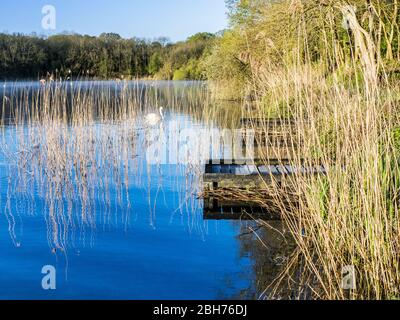 Angelpontons im Coate Water in Swindon. Stockfoto