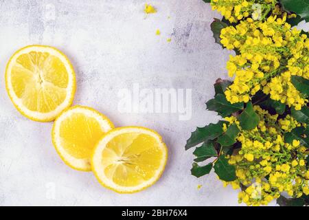 Zitrone und Zweige mit gelben Blüten auf betonierten Hintergrund mit Platz für Text. Von oben mit viel Platz Stockfoto