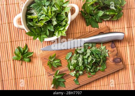 Frische junge Grasblätter für die Nahrung im Frühjahr verwenden. Aegopodium podagraria gemeinhin als Boden Holunder, Kraut gerard, Bischof Unkraut, Gicht Würze. Stockfoto