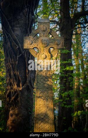 Sonnenlicht auf einem traditionellen keltischen Kreuz Grabstein in einem ruhigen und bewachsenen Friedhof Stockfoto