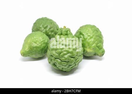 Frische grüne Kaffir-Limette oder Kaffir-Bergamotte-Frucht isoliert auf weißem Hintergrund, ist Kaffir-Limette ein wichtiger Bestandteil der Nahrung in Asien. Stockfoto