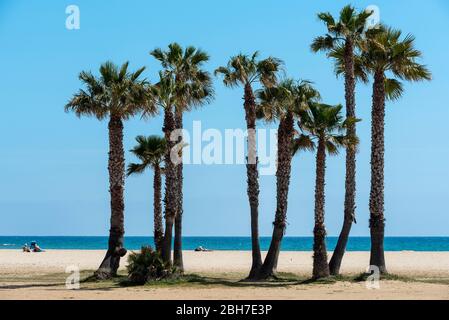 Platja de la Coma-ruga, El Vendrell, Baix Penedès, Tarragona, Katalonien Stockfoto