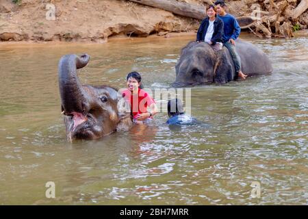 Der Thailänder reitet auf einem Elefanten, um am Fluss Kwae in Kanchanaburi Elefantenlager zu baden. Kanchanaburi, Thailand 15. Februar 2012 Stockfoto
