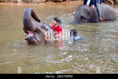 Der Thailänder reitet auf einem Elefanten, um am Fluss Kwae in Kanchanaburi Elefantenlager zu baden. Kanchanaburi, Thailand 15. Februar 2012 Stockfoto
