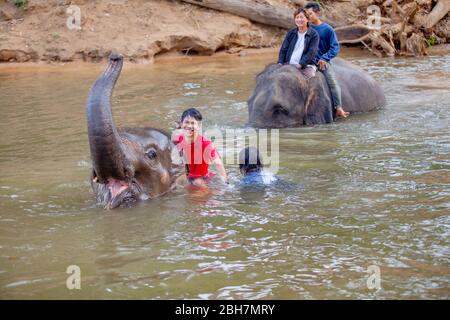 Der Thailänder reitet auf einem Elefanten, um am Fluss Kwae in Kanchanaburi Elefantenlager zu baden. Kanchanaburi, Thailand 15. Februar 2012 Stockfoto
