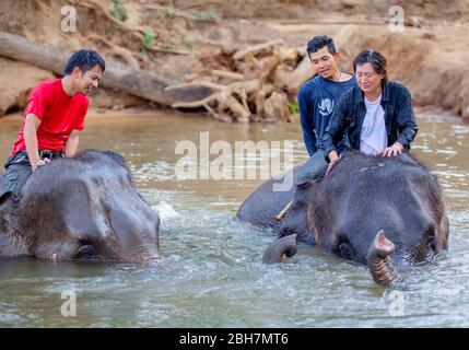 Die Thailänderin reitet auf einem Elefanten, um am Fluss Kwae in Kanchanaburi Elefantenlager zu baden. Kanchanaburi, Thailand 15. Februar 2012 Stockfoto