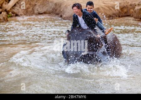 Die Thailänderin reitet auf einem Elefanten, um am Fluss Kwae in Kanchanaburi Elefantenlager mit Elefantenmahout zu baden. Kanchanaburi, Thailand Februar Stockfoto