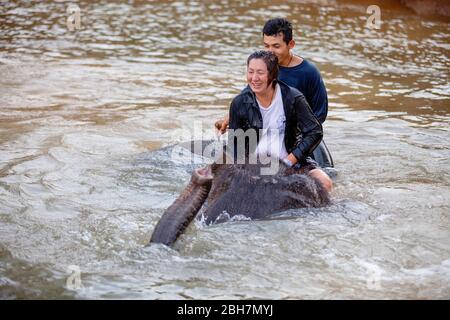Die Thailänderin reitet auf einem Elefanten, um am Fluss Kwae in Kanchanaburi Elefantenlager mit Elefantenmahout zu baden. Kanchanaburi, Thailand Februar Stockfoto