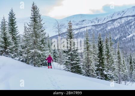 Nette ältere Frau beim Schneeschuhwandern in der arktischen Landschaft des Nordens Norwegen in der Nähe der Stadt Tromso Stockfoto