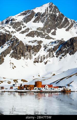 Ehemalige Walfangstation Grytviken, King Edward Cove, Südgeorgien, Südgeorgien und die Sandwichinseln, Antarktis Stockfoto