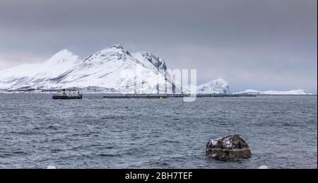 Fischfarm im Winter auf der Insel Vengsøy im Norden Norwegens In der Nähe von Tromsoe Stockfoto