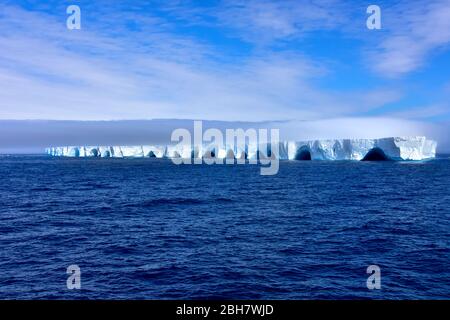 Blauer Eisberg, der an einem sonnigen Tag mit blauem Himmel in der Antarktis schwimmt. Stockfoto