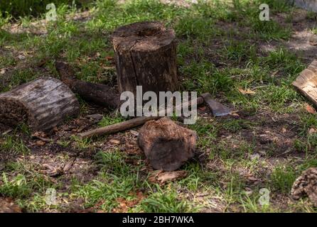 Axt auf dem Grasboden. Holzfäller Arbeitswerkzeuge zum Schneiden von Holz. Rustikale Atmosphäre. Stockfoto
