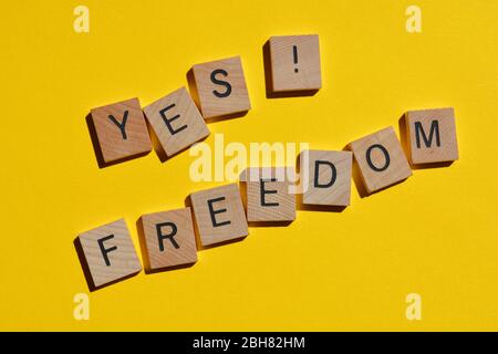 Ja, Freiheit, Worte in Holzbuchstaben isoliert auf Gelb Stockfoto