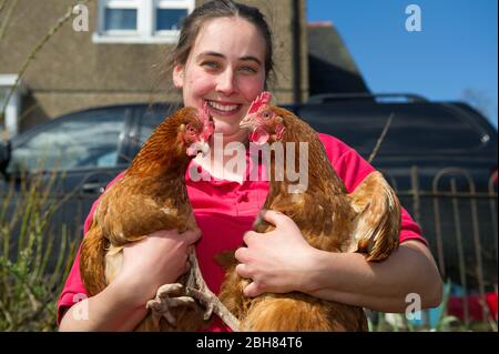 Moodiesburn, Großbritannien. 24 April 2020. Im Bild: Eilidh mit ihren Hühnern Nando und Lulu. Eilidh aus Stoneyetts, Moddiesburn zeigt ihre geretteten Batteriehennen namens Noodle; Nando, Lulu & Chickee, die mit ziemlicher Sicherheit ihren Hersteller getroffen hätten, der auf irgendjemanden serviert wurde, doch Eilidh nahm diese Hühner hinein und nun genießen sie ihr neues Leben als Familienhunde. Quelle: Colin Fisher/Alamy Live News Stockfoto