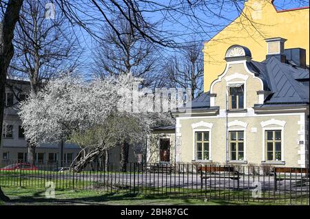 Hausfassaden entlang der Südpromenade im Frühling in Norrkoping, Schweden. Die Promenaden in Norrkoping wurden von den Pariser Boulevards inspiriert. Stockfoto