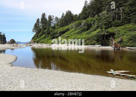 Ein barachois in Ruby Beach, Forks, Olympic National Park, Washington, USA Stockfoto