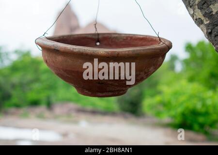 Wasser in Tontopf für Vögel im heißen Sommer Stockfoto