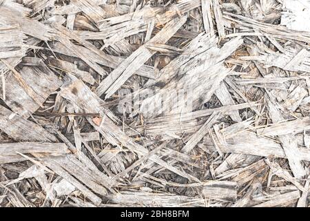 Partikel Board Holzstruktur Detail Stockfoto