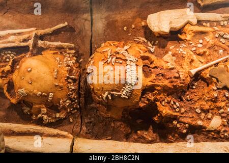 Japan, Honshu, Tokio, Hibiya, Ueno Park, das Nationale Museum für Natur und Wissenschaft, Ausstellung von North American Native Indian Beerdigung bleibt Stockfoto