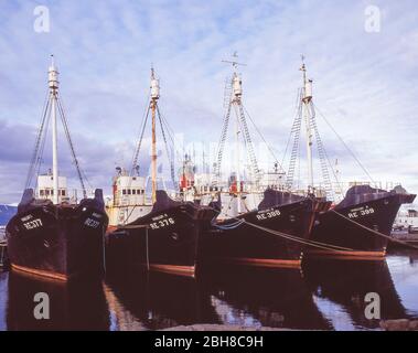 Isländische Fischerboote im Hafen, Reykjavík, Republik Island Stockfoto