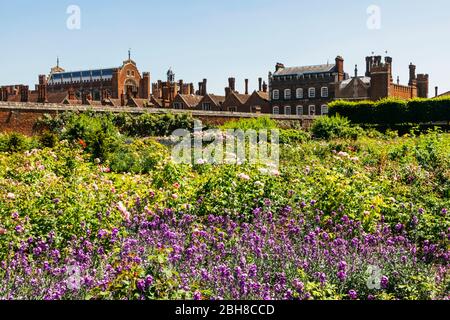 England, London, Richmond-upon-Thames, Hampton Court Palace, Gärten und Palace Stockfoto