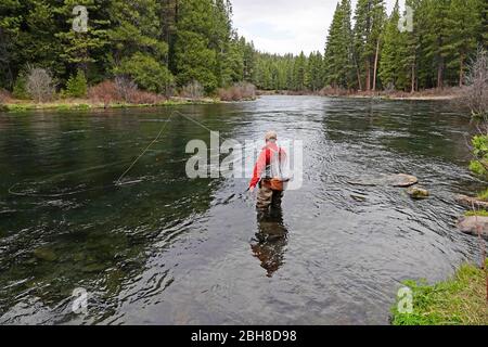 Ein Angler wirft auf dem Metolius River in den Cascade Mountains im Zentrum von Oregon in der Nähe der kleinen Stadt Camp Sherman, Oregon, nach Regenbogenforellen. Stockfoto