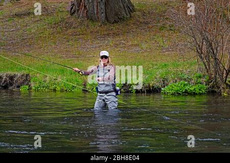 Ein Angler wirft auf dem Metolius River in den Cascade Mountains im Zentrum von Oregon in der Nähe der kleinen Stadt Camp Sherman, Oregon, nach Regenbogenforellen. Stockfoto