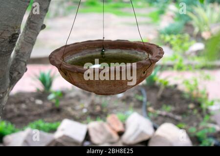 Wasser in Tontopf für Vögel im heißen Sommer Stockfoto